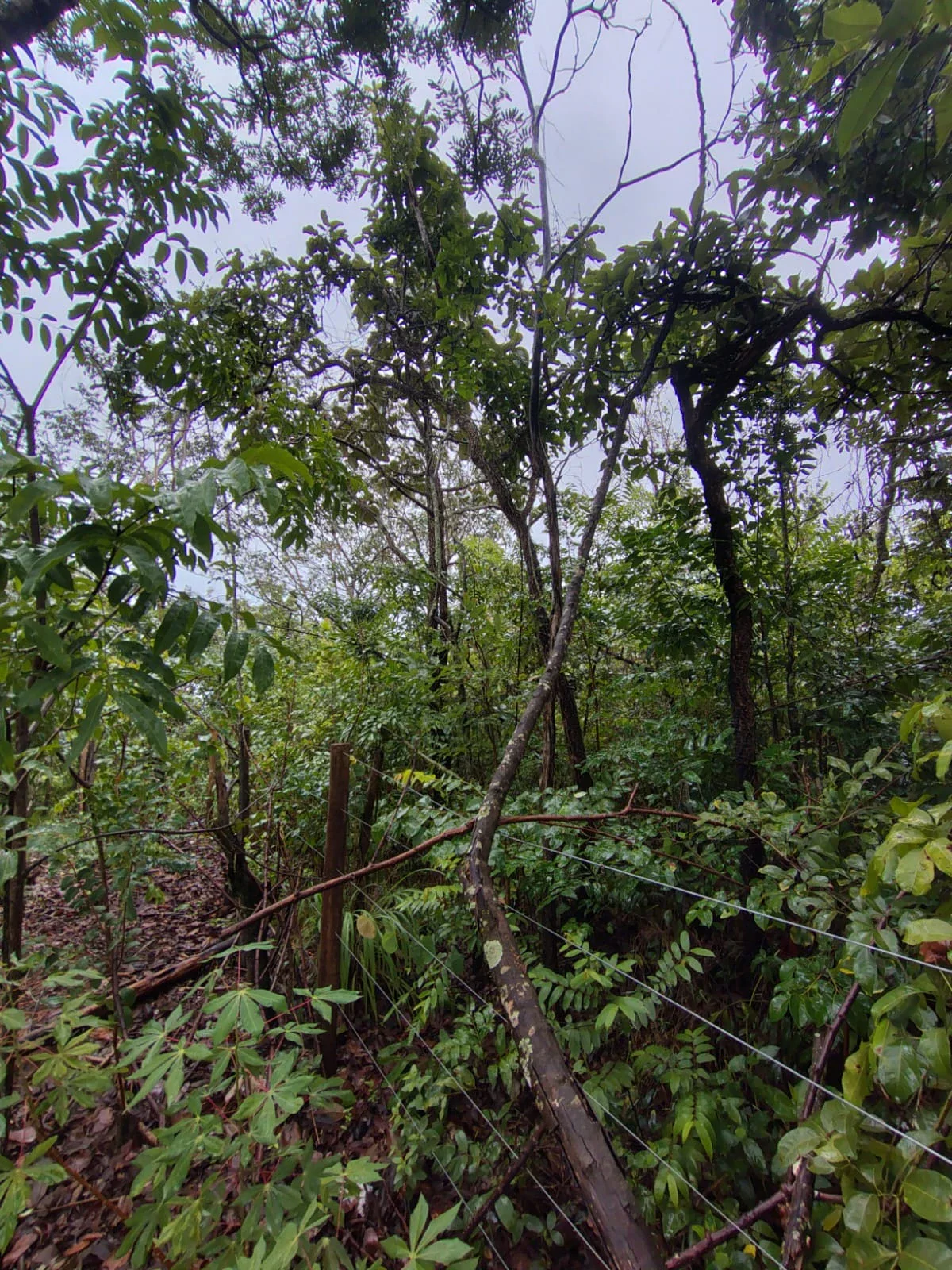 Chácara à Venda - Anápolis - Go