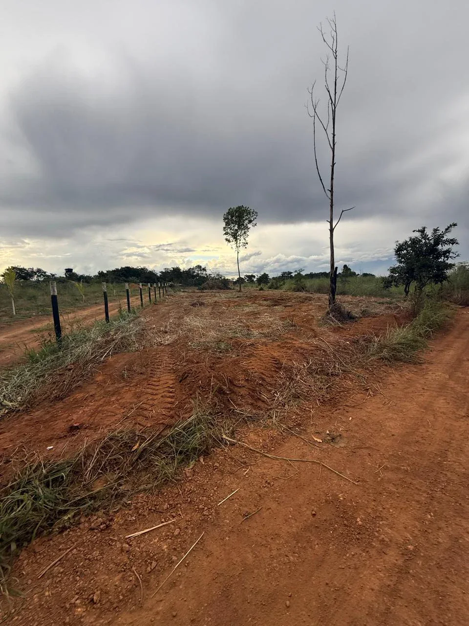 Chácara à Venda - Anápolis - Go