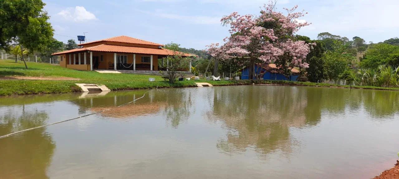 Chácara à venda – 3,9 Alqueires Anápolis -Go