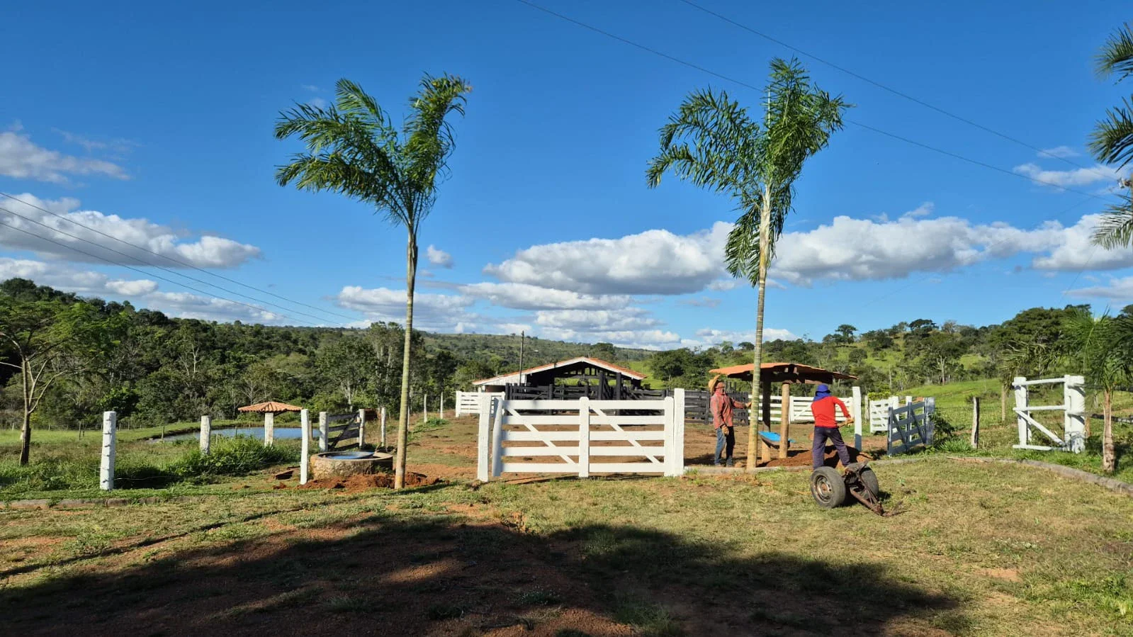 Chácara à venda – 3,9 Alqueires   Anápolis -Go