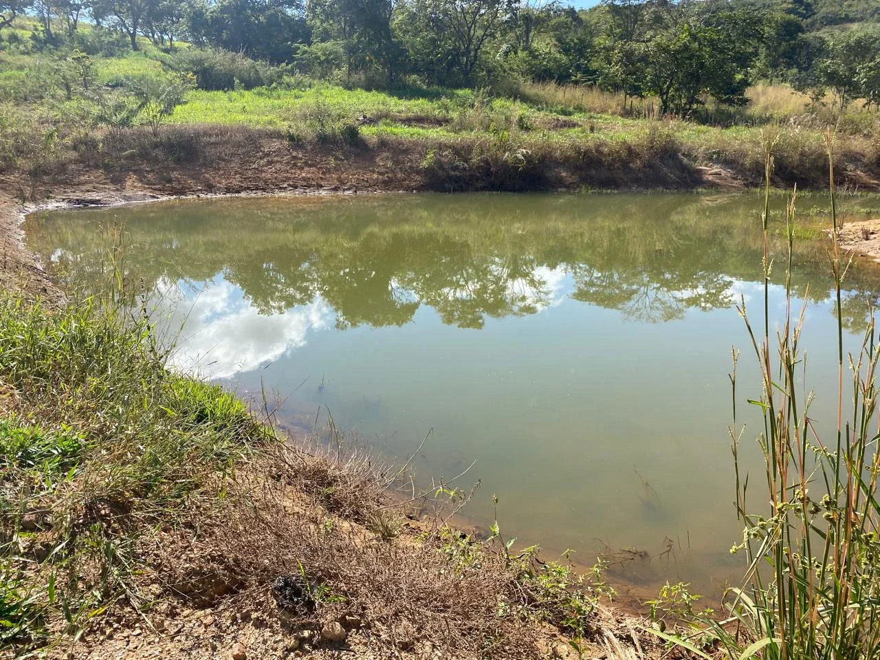 SÍTIO À VENDA EM COCALZINHO DE GOIÁS São 12 alqueires, sendo 10 alqueires formados e aproveitados para plantio.