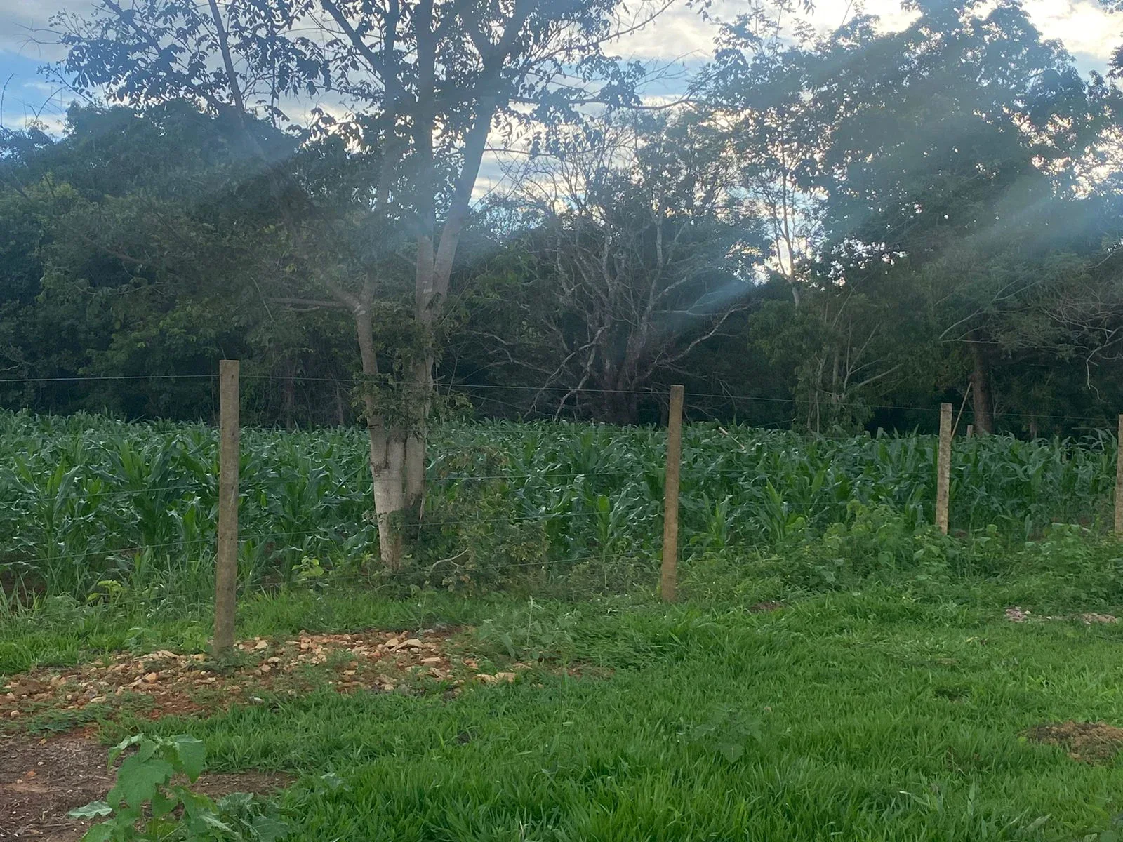 🏡🌾 PROPRIEDADE COMPLETA PRÓXIMA AO LAGO CORUMBÁ IV! Em Abadiânia -Go , - 5 alqueires