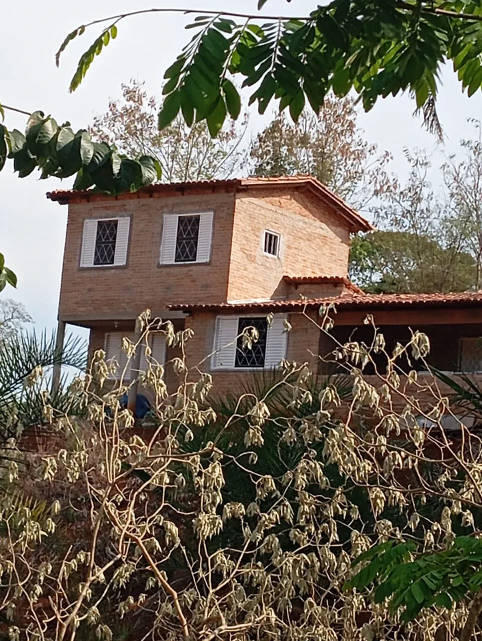 CHÁCARA EM LEOPOLDO DE BULHÕES (GO)• Área Total: 20.000 m² (2 Hectares).