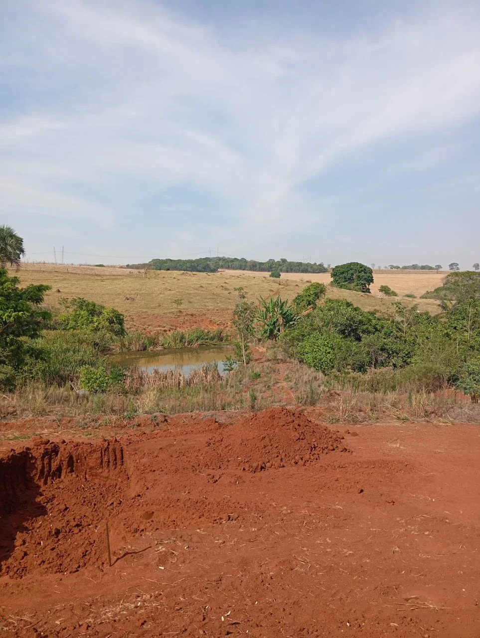 CHÁCARA EM LEOPOLDO DE BULHÕES (GO)• Área Total: 20.000 m² (2 Hectares).