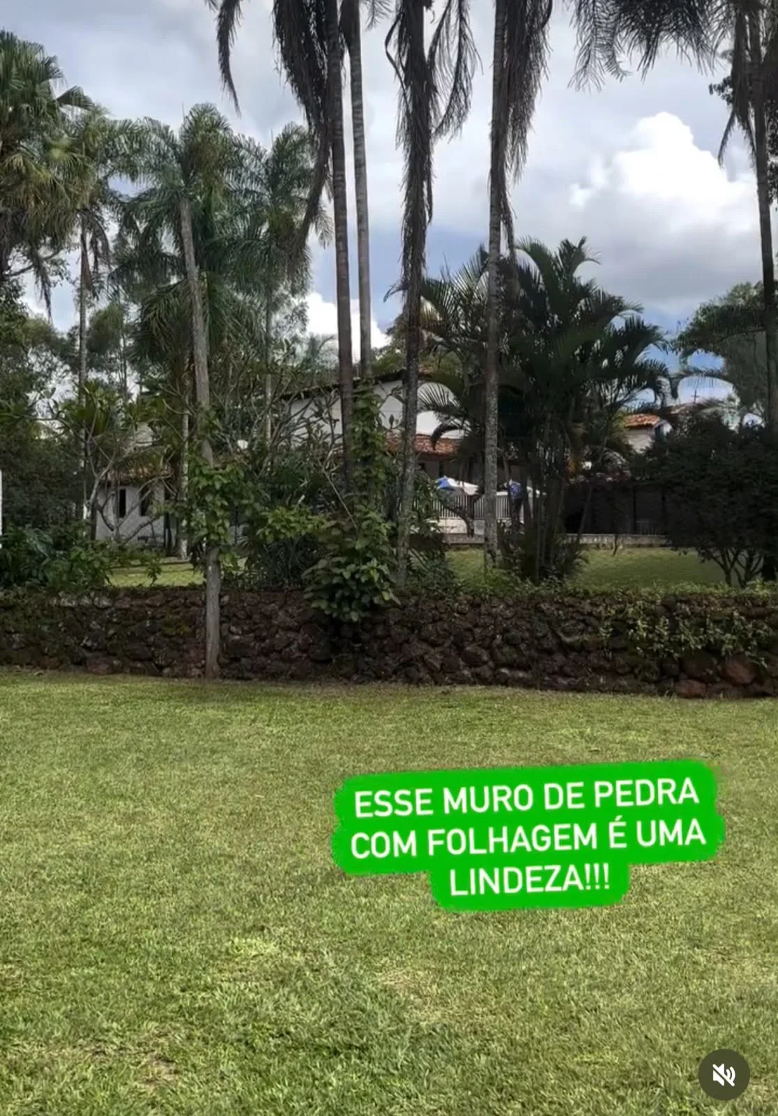 Miniatura 22