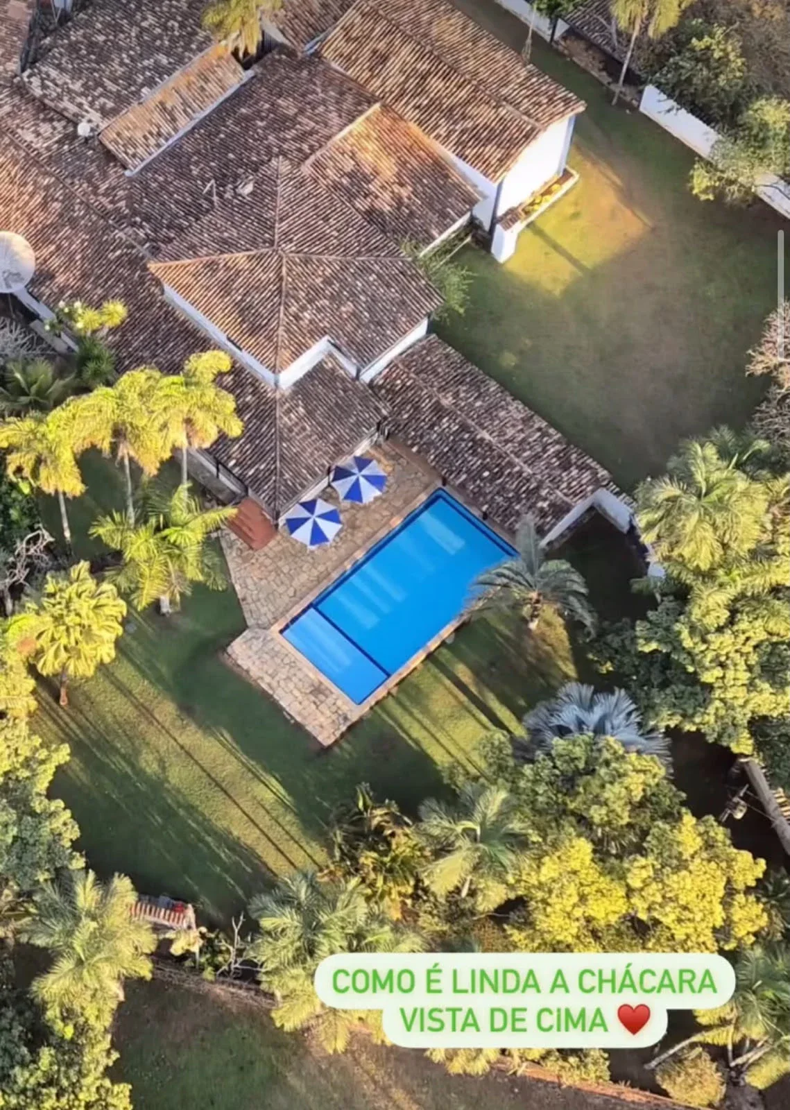 Miniatura 16