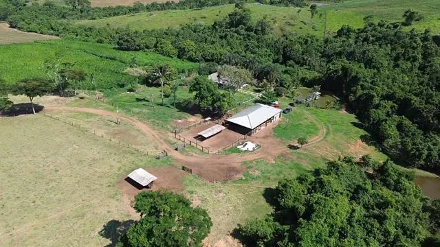 CHÁCARA À VENDA EM GOIANÁPOLIS 15,5 alqueires de terra de cultura, com terreno semiplano e apenas 6 km do asfalto