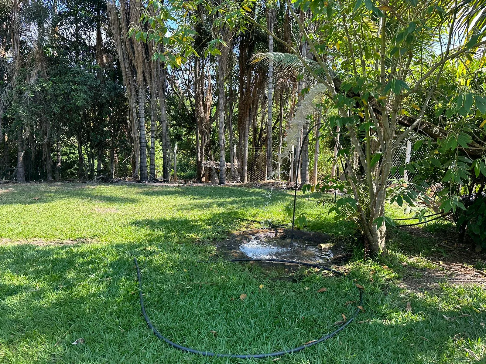 CHÁCARA À VENDA EM GOIANÁPOLIS 15,5 alqueires de terra de cultura, com terreno semiplano e apenas 6 km do asfalto