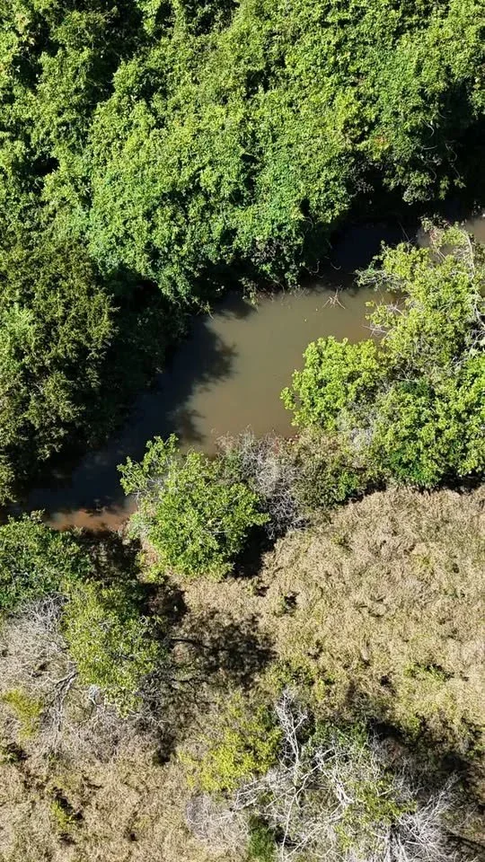 🌊 Chácara 5 Hectares c/ 689m de Rio - Lages do Capivari (Escriturada) Abadiânia - Go - 26km de Anápolis! - Rota Br -414)