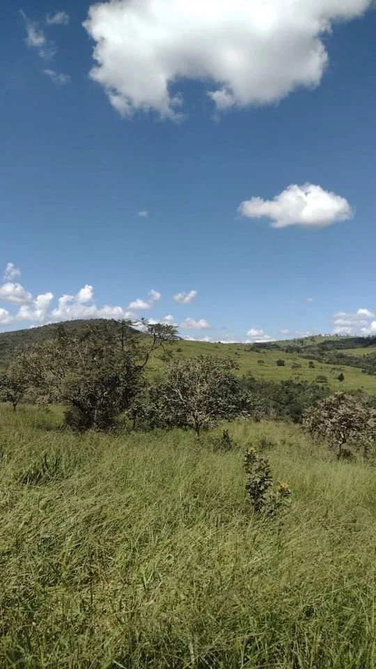 🌿 CHÁCARAS LAJES DO CAPIVARI – NATUREZA E TRANQUILIDADE! 📍 Abadiânia – GO 26 km de Anápolis - rota Rod. BR -414