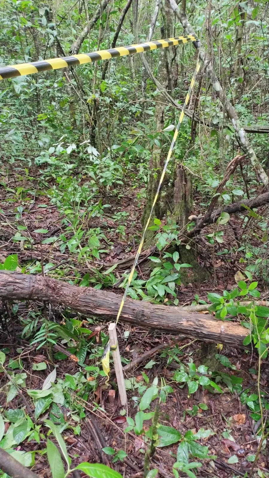 Chácara à venda em Anápolis, localizada entre Anápolis (35 minutos ) e Leopoldo de Bulhões, a aproximadamente 35 minutos de Anápolis.