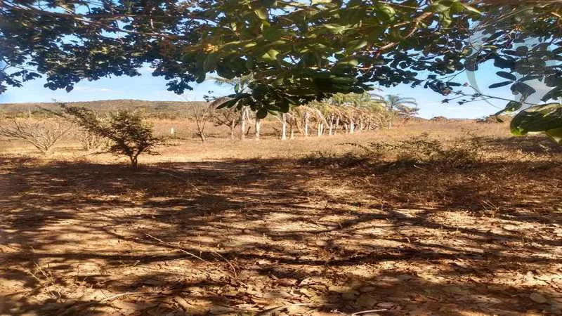 Chácara à venda com 17 hectares - Padre Bernardo. Go
