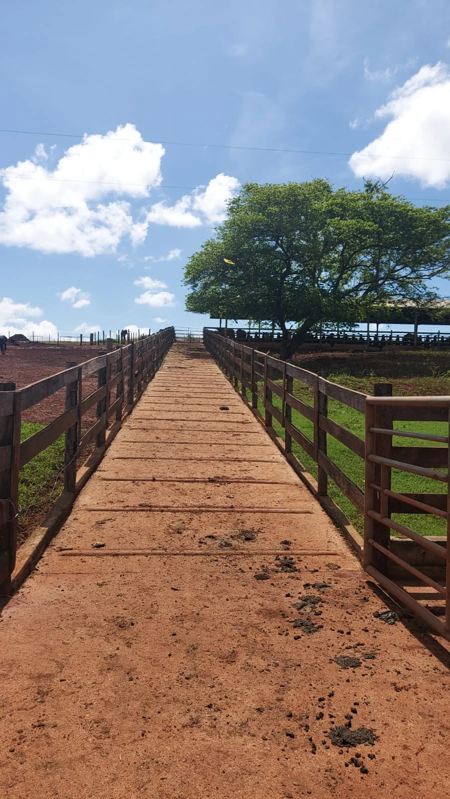 🌾 FAZENDA À VENDA — ANÁPOLIS/GO
