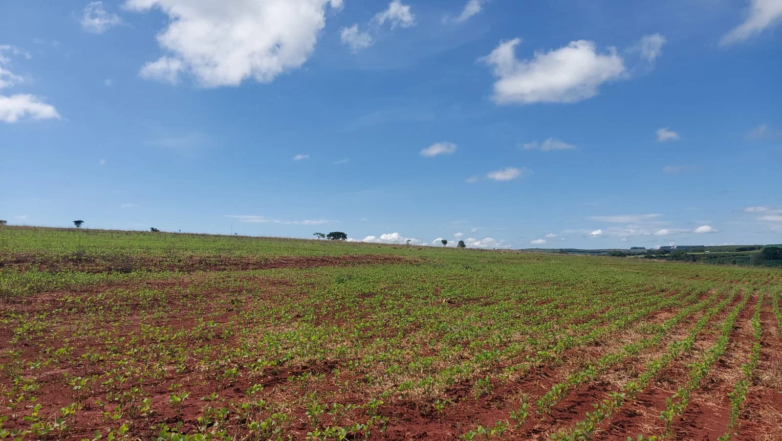 🌾 FAZENDA À VENDA — ANÁPOLIS/GO