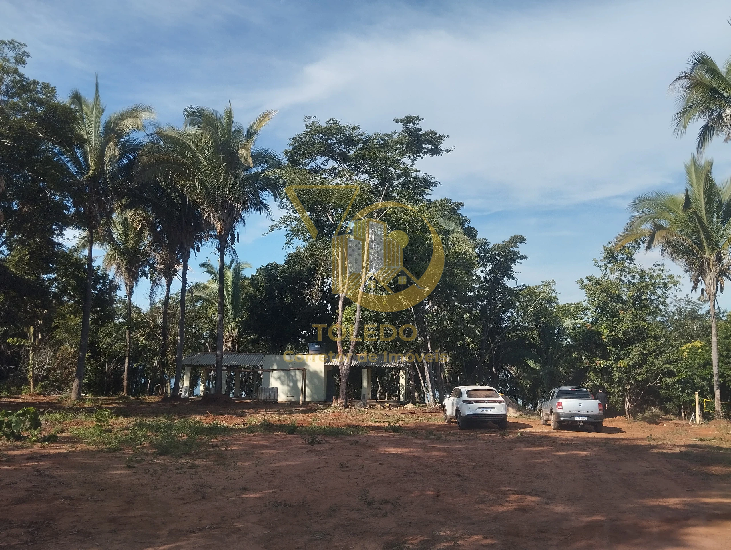 Miniatura 9