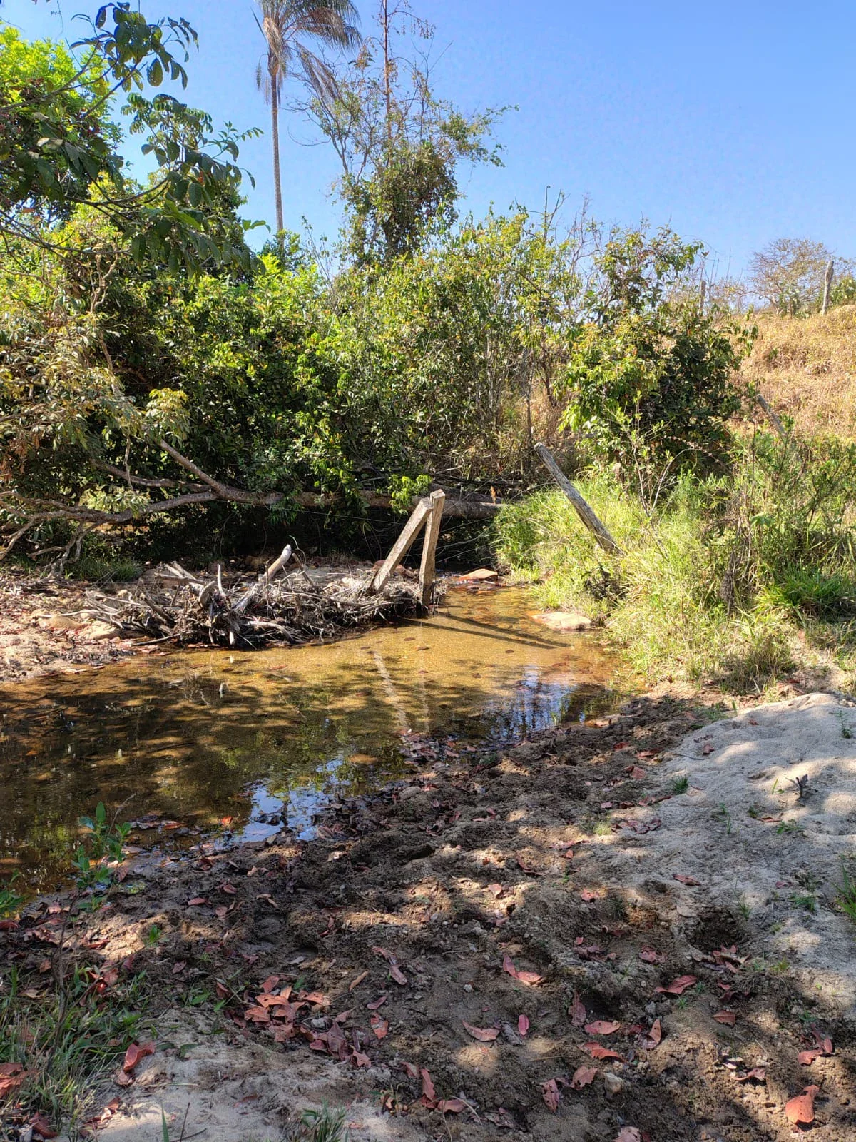 🌳 CHÁCARA À VENDA – CONDOMÍNIO CONSTANTINO 📍 Região de Joanápolis, próximo a Anápolis/GO. 🌊 Prainha natural e cachoeira 🚶 Pista de caminhada 🍖 Quiosque com churrasqueira ⚽ Quadra esportiva