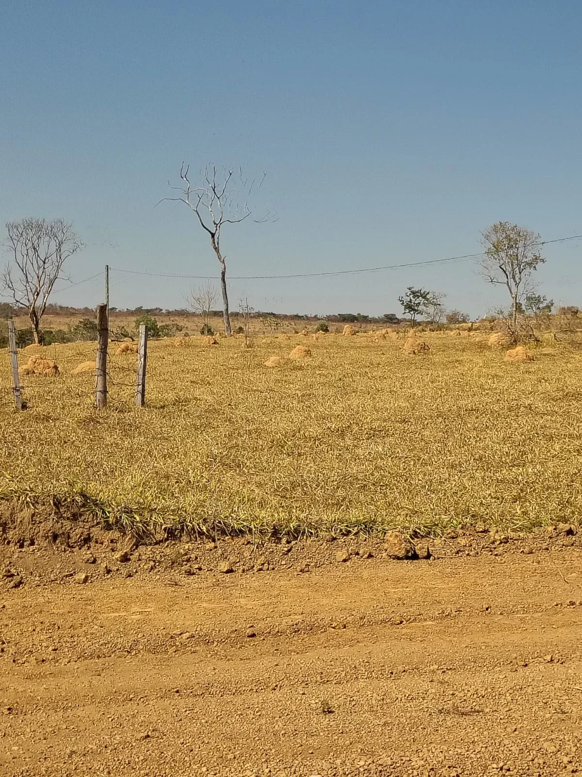 🌳 CHÁCARA À VENDA – CONDOMÍNIO CONSTANTINO 📍 Região de Joanápolis, próximo a Anápolis/GO. 🌊 Prainha natural e cachoeira 🚶 Pista de caminhada 🍖 Quiosque com churrasqueira ⚽ Quadra esportiva