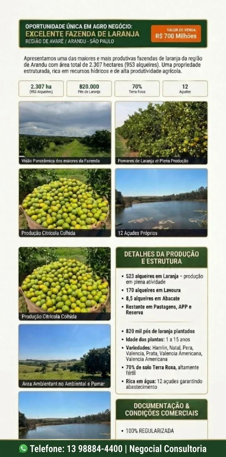 Fazenda da Laranja à venda em Arandu-São Paulo