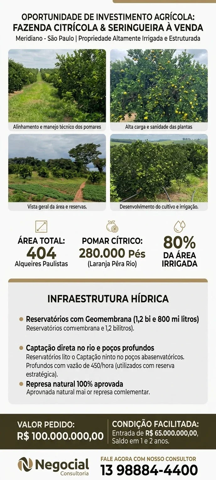 Fazenda Citrícola e Seringueira à venda em Meridiano - SP