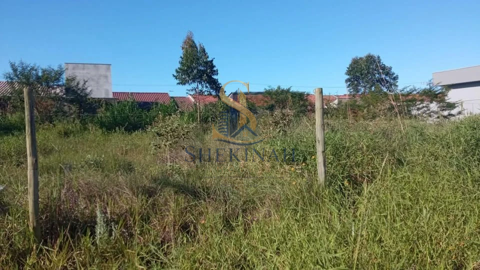 TERRENO BARATO ESCRITURADO 348 M²