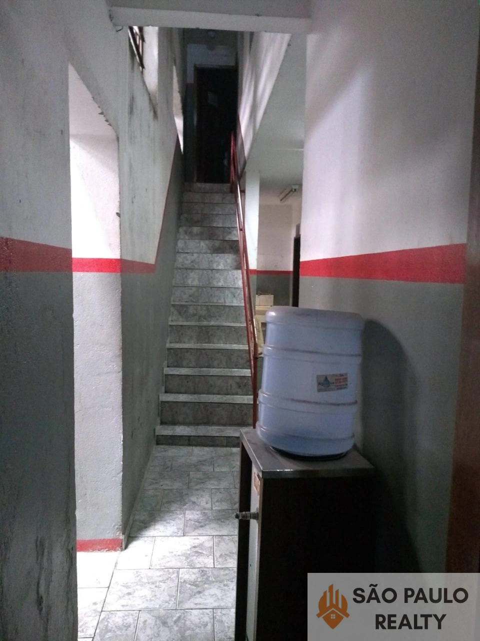 Miniatura 12