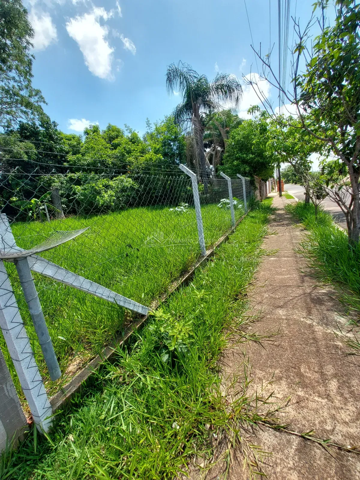 CASA 3 DORMITÓRIOS À VENDA EM QUINTA DA BELA OLINDA, BAURU/SP