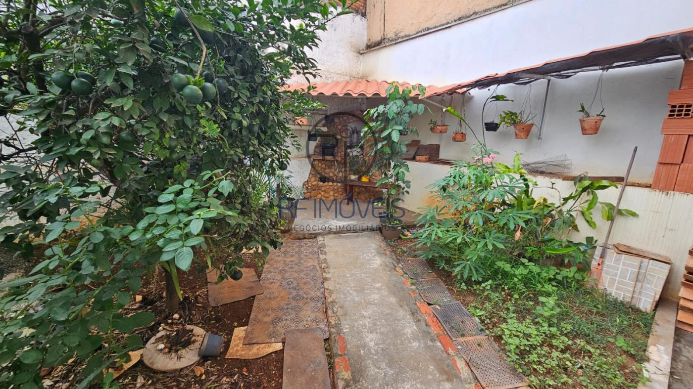 Miniatura 13